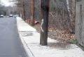 CIMG0820 pole in sidewalk